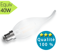 Ampoule led filament flamme, globe givré, 4W, blanc chaud